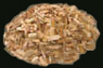woodchips