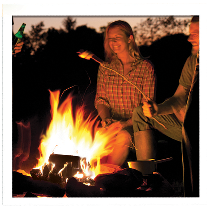 "4 Goodwood Firebags with Extra Logs" - CALIFORNIA ONLY (incl shipping!) - Image 4