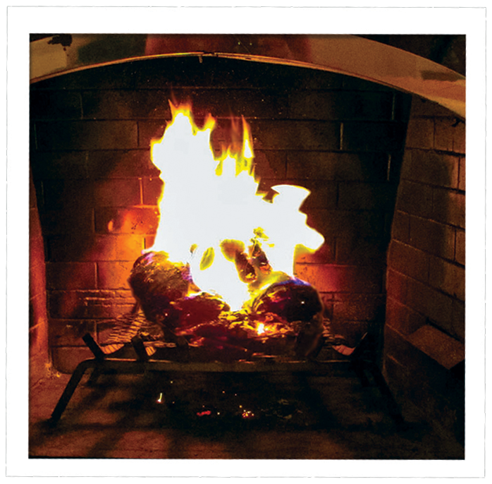 "4 Goodwood Firebags with Extra Logs" - CALIFORNIA ONLY (incl shipping!) - Image 3