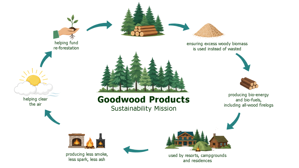 infographic5